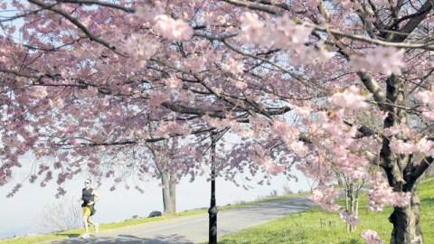 Riverside Park