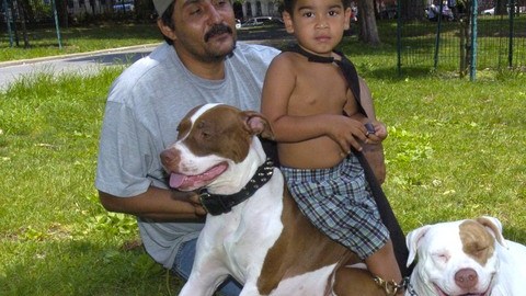 Julio Salas, de Puerto Rico, con su nieto Jonhnatan, junto a sus mascotas Nashali y Goldi, disfruta del verano en un parque de Brooklyn.