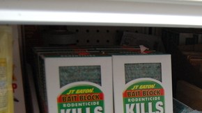 En las tiendas del Alto Manhattan la demanda por plaguicidas es constante. Residentes dicen que en la noche es común ver "cientos" de ratas en la calle.