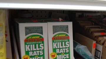 En las tiendas del Alto Manhattan la demanda por plaguicidas es constante. Residentes dicen que en la noche es común ver "cientos" de ratas en la calle.