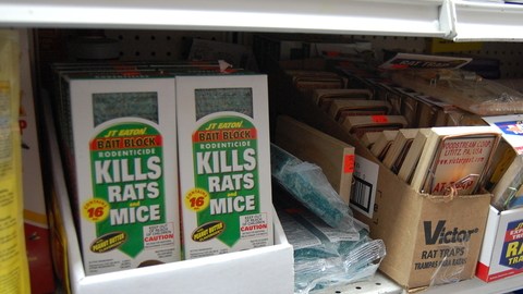En las tiendas del Alto Manhattan la demanda por plaguicidas es constante. Residentes dicen que en la noche es común ver "cientos" de ratas en la calle.