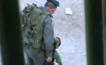En el vídeo (que aparece en la página www.btselem.org/video/201200629_soldier_kicks_boy) se ve cómo un soldado agarra con fuerza al menor y le dice- "¿Por qué estás armando follón?”, mientras el pequeño grita.