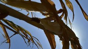 Una ola de calor azota a EEUU mientras miles de personas continúan sin suministro eléctrico desde las tormentas sufridas el pasado viernes.