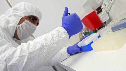 La Unión Nacional de Avicultores vacunará a un millón de aves para evitar la propagación de la gripe aviar.