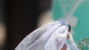 Obispos episcopales aprobaron un servicio religioso oficial para bendecir las uniones de parejas del mismo sexo.