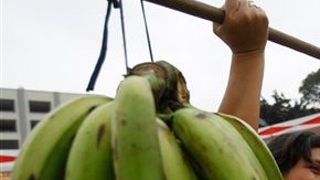 Asimismo, Correa urgió a los exportadores a transparentar los contratos que tienen con los campesinos.