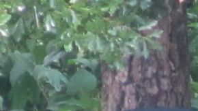 Oficiales revisan el lugar donde un relámpago azotó y mató a dos futbolistas en el parque La Escondida de Houston.