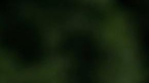 Adam Scott en el primer green del club de golf en el Abierto Británico.