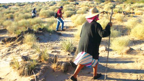 Un estudio señala que también a raíz de la crisis la migración mexicana detuvo su tendencia creciente.
