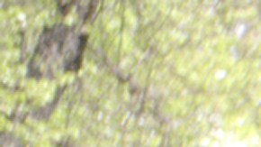 Ted, el mejor amigo de John Bennett, es un oso de peluche que habla.