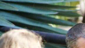 Damon dijo que espera que el presidente Barack Obama sea reelegido para un segundo periodo en noviembre, pero que no es el partidario devoto que solía ser.