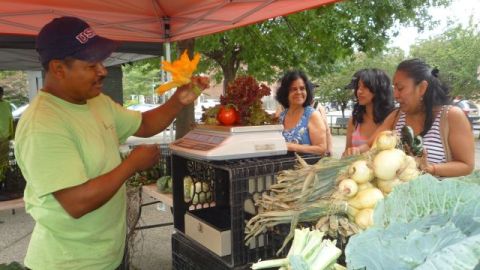 El granjero Gudelino García en su puesto del nuevo mercado comunitario “The Heights” en El Bronx.