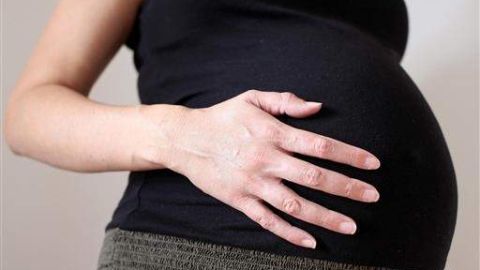 Atras quedó la creencia de que los ovocitos disminuyen en número a medida que las féminas envejecen.