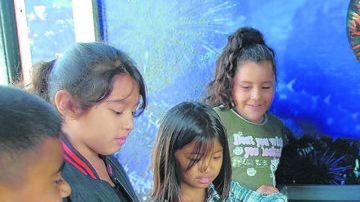 El Acuario de Long Beach es un lugar donde los menores aprenden sobre la vida marina.
