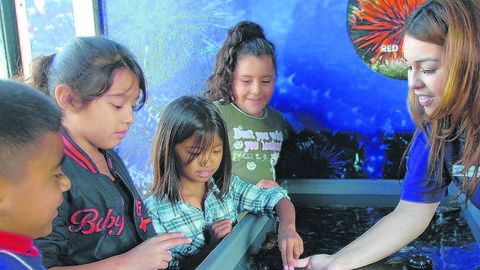 El Acuario de Long Beach es un lugar donde los menores aprenden sobre la vida marina.