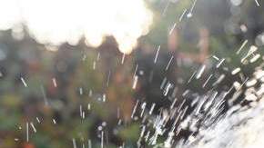 Según la Organización Mundial de la Salud (OMS), unos 1,100 millones de personas no tienen acceso al agua potable.