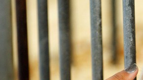 La mayor parte de los contagios a nivel nacional han sido en ferias donde la gente ha tenido contacto con los cerdos.