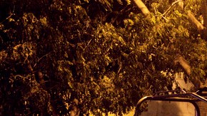 Soldados del Ejército mexicano caminan hacia sus vehículos después de encontrar siete cuerpos dentro de una camioneta en  Veracruz.