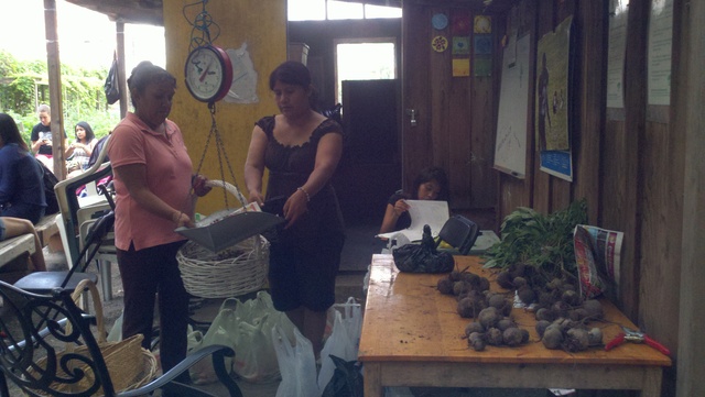 Familias latinas pesan frutas y vegetales luego de cosecharlos.