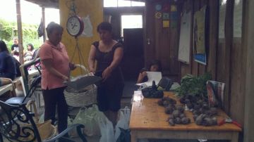 Familias latinas pesan frutas y vegetales luego de cosecharlos.