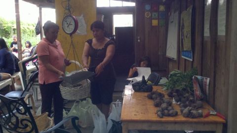 Familias latinas pesan frutas y vegetales luego de cosecharlos.