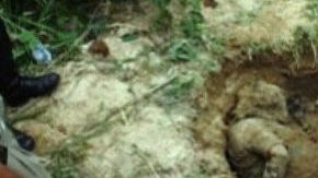 Una de las tantas fosas en las que se han encontrado los cadáveres de varias personas presuntamente asesinadas por el crimen organizado, en Veracruz, México.