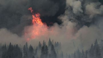 Cerca de 2,500 bomberos combaten el incendio conocido como "Ponderosa"