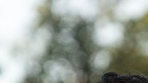 Barrondo marcó historia para Guatemala.