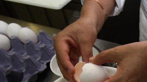 El presdiente de México, Felipe Calderón, eliminó los aranceles y alentó a los importadores a traer huevos de cualquier parte del mundo.