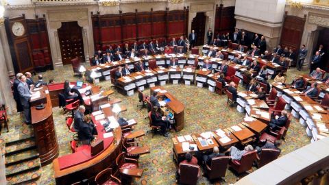 La pelea por un asiento en el Senado estatal en Albany será dura.