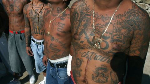 Miembros de la Mara Salvatrucha muestran sus cuerpos tatuados que hablan de su lealtad con la organización.