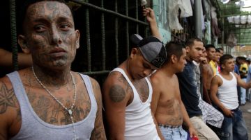 Detenidos pertenecientes a la pandilla M-18 en la cárcel de Quezaltepeque, en El Salvador.
