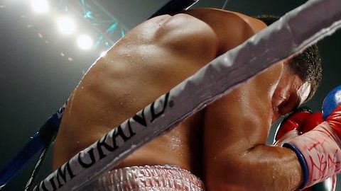 Canelo Álvarez mandó varias veces al suelo a Josesito y la pelea terminó antes de los 12 rounds.