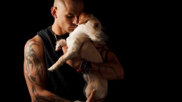Schumer manifestó que quiere que  los veteranos con problemas emocionales puedan obtener los perros.
