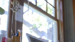 Los síntomas y el tratamiento del trastorno bipolar deben ser diagnosticados por un especialista.