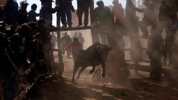 Las corridas de toros son una tradición en muchas partes de Sudamérica.