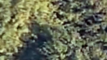 Villalobos saltó del tren y rebasó la verja perimetral de casi cinco metros de altura.