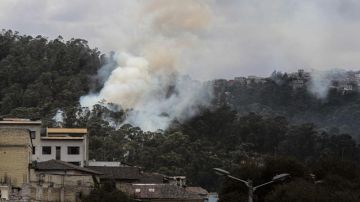 Unas 14,000 hectáreas de pastizales y bosques han sido arrasados en el país por voraces incendios en la capital.
