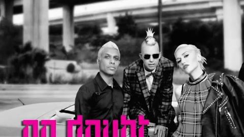 "Push and Shove" de No Doubt combina su característica mezcla de ska y new wave británico con letras que revelan la angustia en sus nuevas vidas.