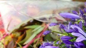 Conservar las flores bellas y frescas en casa puede ser fácil si sigues estos tips.