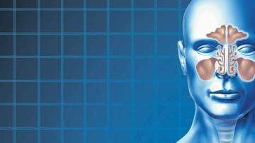 Los investigadores trabajan en reparar pulmones no aptos para trasplante con materiales como silicona o colágeno.