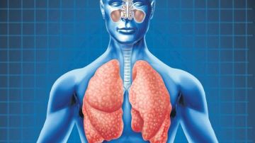 Los investigadores trabajan en reparar pulmones no aptos para trasplante con materiales como silicona o colágeno.