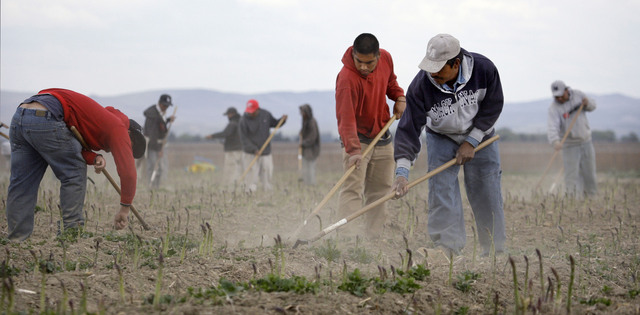 La legislación exime a los trabajadores del sector agrícola, que genera unos $72,000 millones a la economía del  estado.