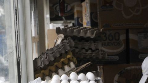 Desde junio pasado el costo del huevo se elevó a causa del brote de gripa aviar.