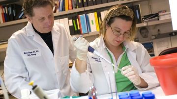 Científicos universitarios investigan el origen del cáncer.