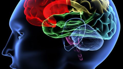 Esta inflamación de las meninges puede producir una amplia gama de síntomas, como fiebre, dolor de cabeza, o confusión.