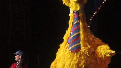 Para nadie debiera ser una sorpresa que el personaje estrella para esta noche de Halloween sea "Big Bird".
