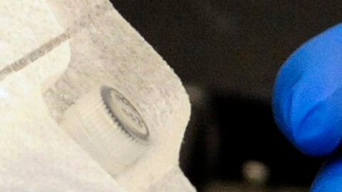 El brote se asocia a inyecciones para el dolor de espalda en mal estado.