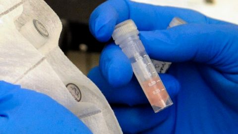 El brote se asocia a inyecciones para el dolor de espalda en mal estado.