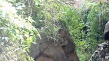 La infantería de Marina ha asestado numerosos golpes contra líderes de los diferentes cárteles del narcotráfico.